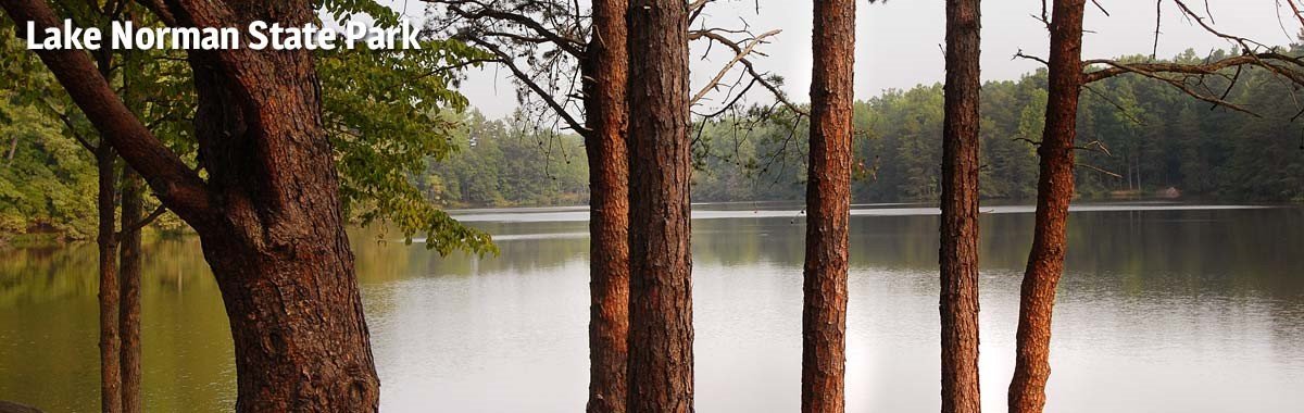 Lake Norman State Park Naturebreak 4482