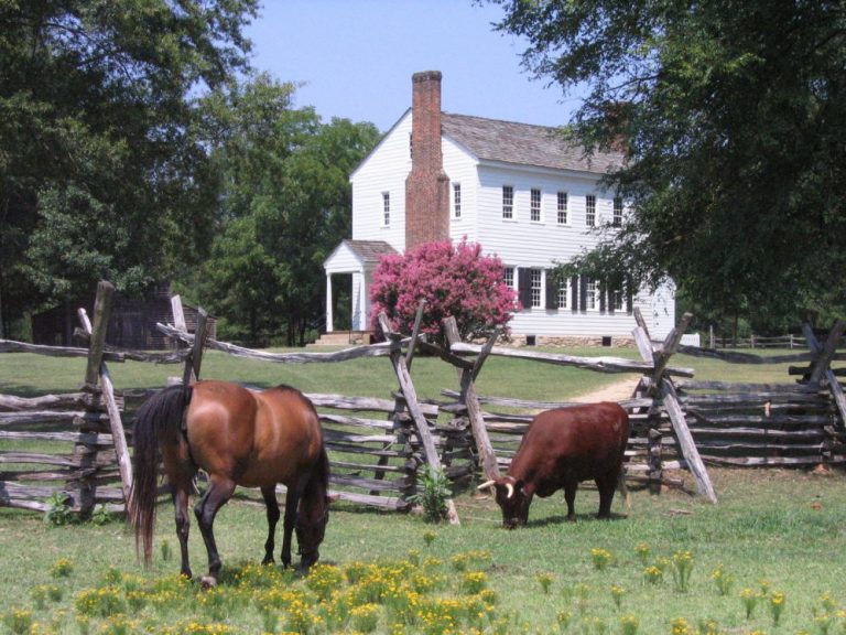 LATTA PLANTATION NATURE CENTER_compressed